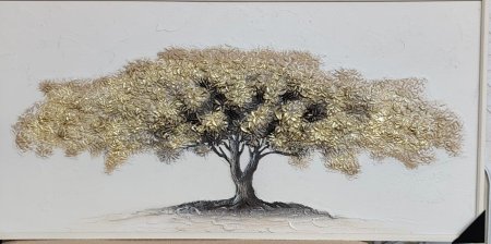 برواز مميز